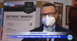 studio 100 micolucci